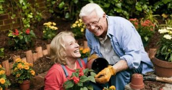 Gartenarbeit im Sommer: Tipps gegen Rücken- und (Foto: Getty Images - stevecoleimages)