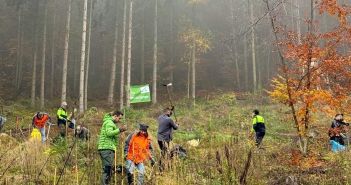 60 Helfer pflanzen 2500 Roteichen und Bergahorn im November (Foto: ARJES GmbH)