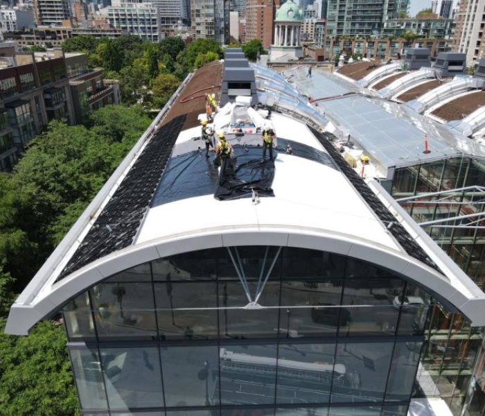 Windexposition: abschnittsweise Dachbegrünung (Foto: Zinco)